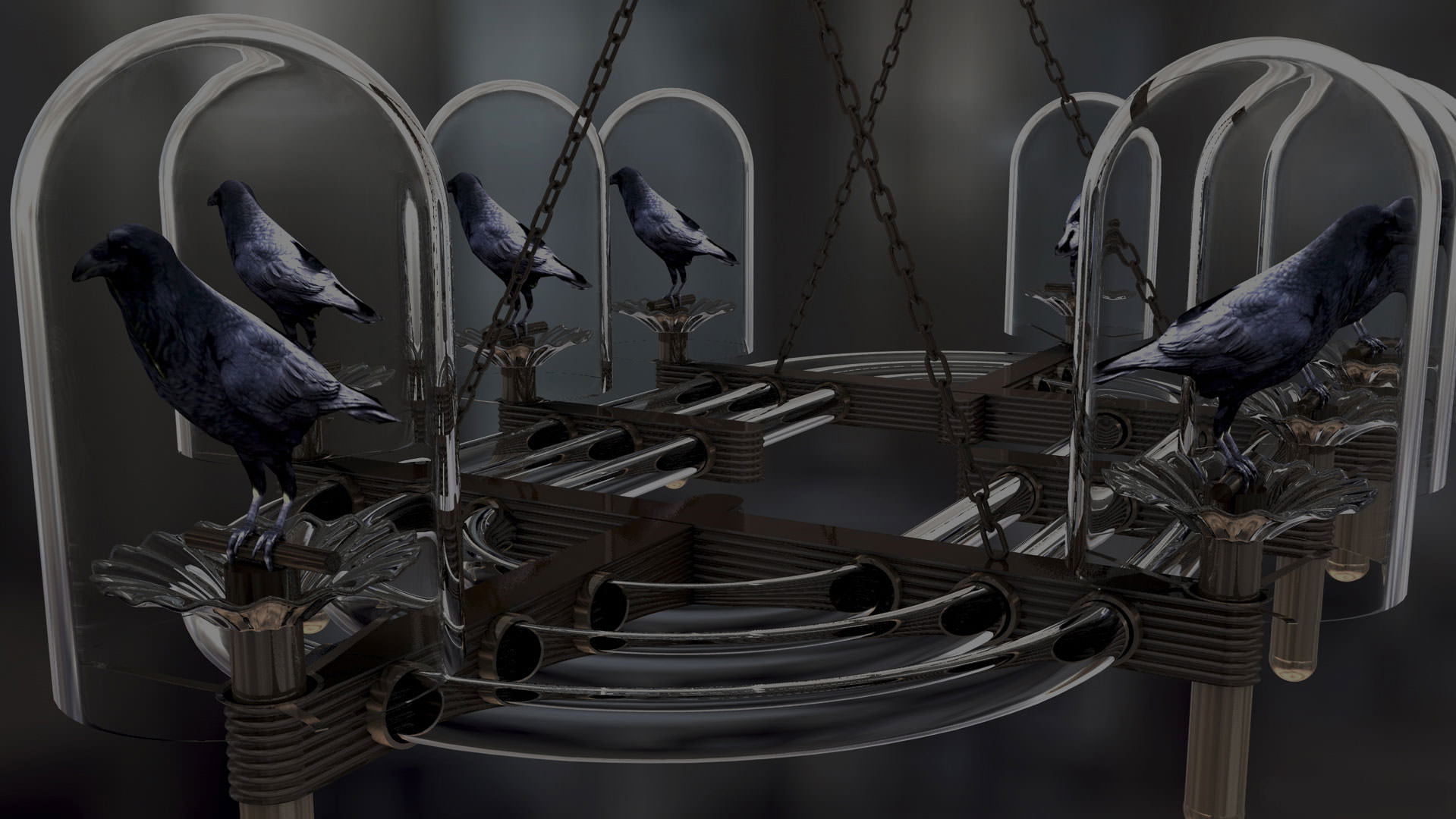birds