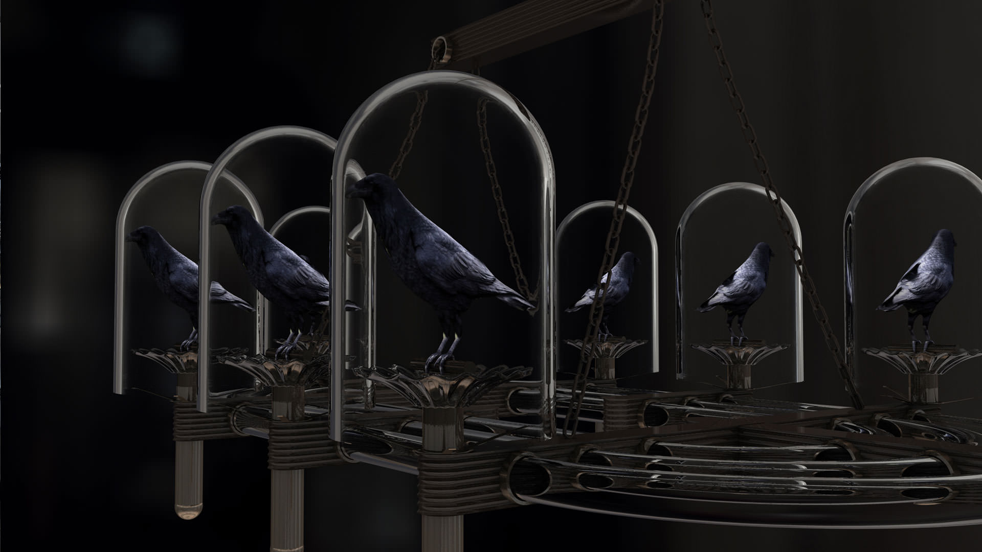 new crows
